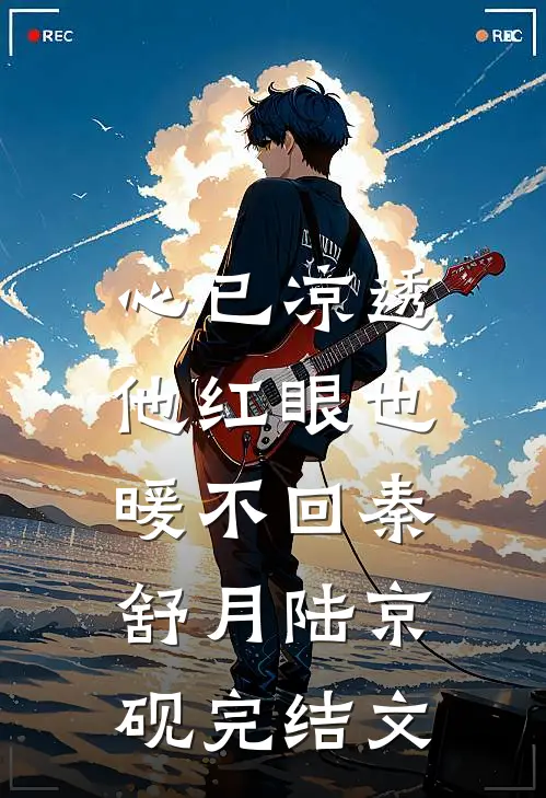 心已凉透，他红眼也暖不回秦舒月陆京砚完结文