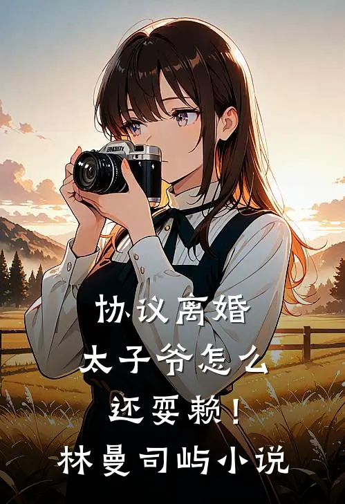 协议离婚，太子爷怎么还耍赖！林曼司屿小说