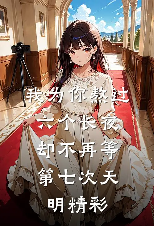 我为你熬过六个长夜，却不再等第七次天明精彩