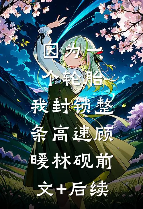 因为一个轮胎，我封锁整条高速顾暖林砚前文+后续