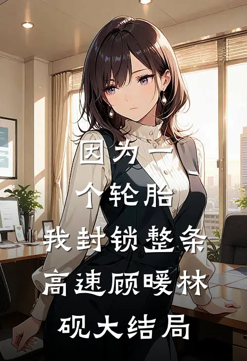 因为一个轮胎，我封锁整条高速顾暖林砚大结局