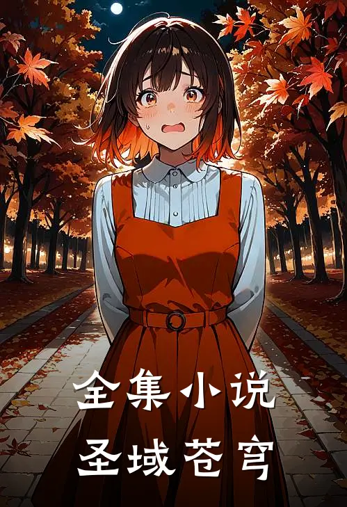 全集小说圣域苍穹