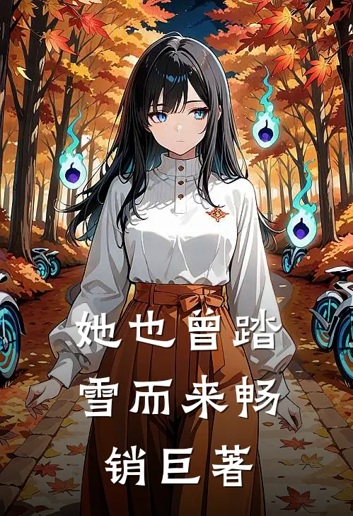 她也曾踏雪而来畅销巨著