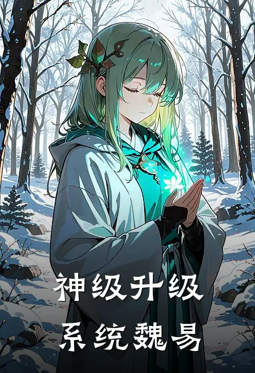 神级升级系统魏易