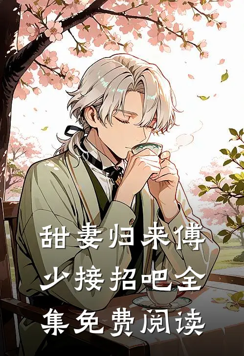 甜妻归来傅少接招吧全集免费阅读
