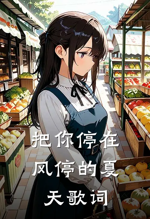 把你停在风停的夏天歌词