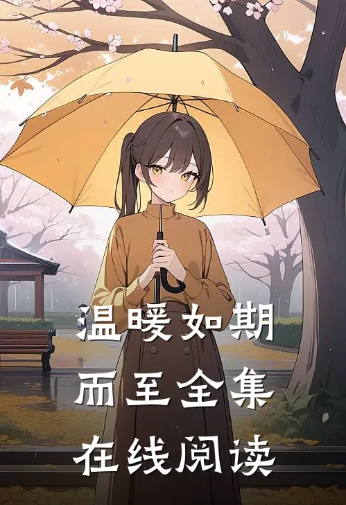 温暖如期而至全集在线阅读