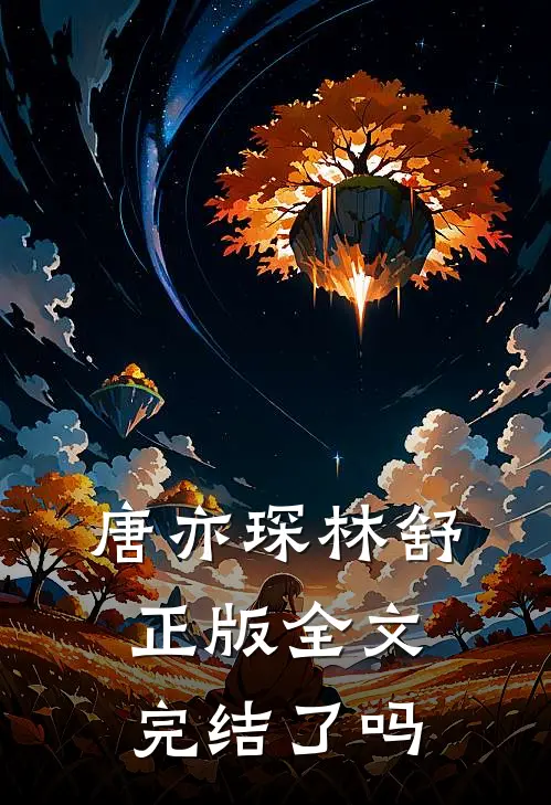 唐亦琛林舒正版全文完结了吗