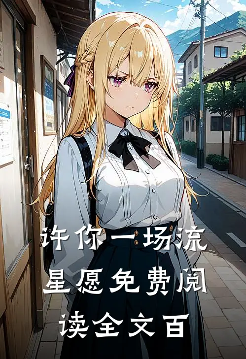 许你一场流星愿免费阅读全文百