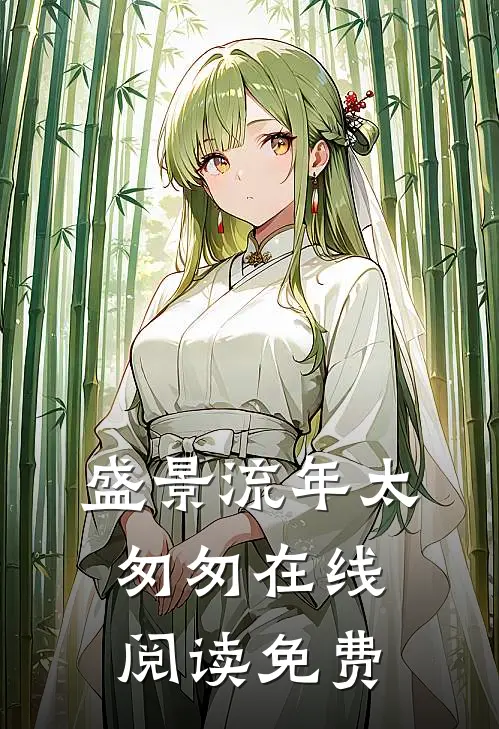 盛景流年太匆匆在线阅读免费