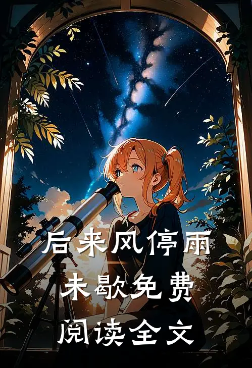 后来风停雨未歇免费阅读全文
