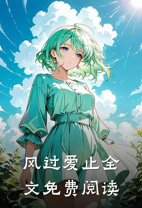 风过爱止全文免费阅读