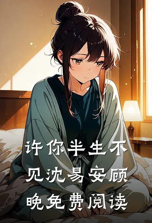 许你半生不见沈易安顾晚免费阅读