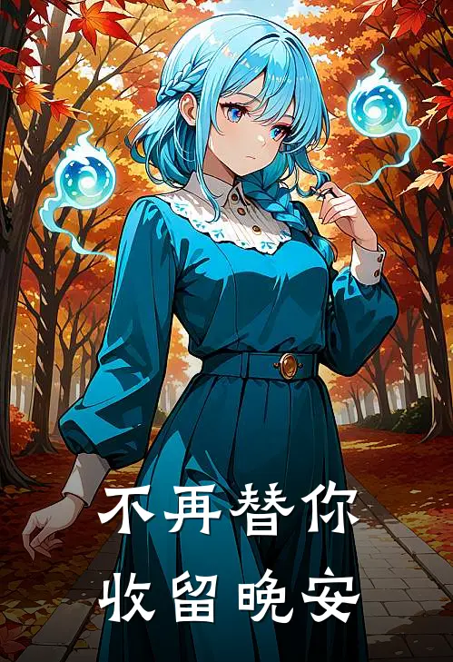 不再替你收留晚安的人