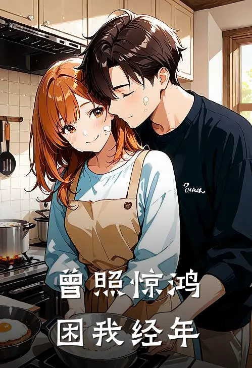 曾照惊鸿，困我经年