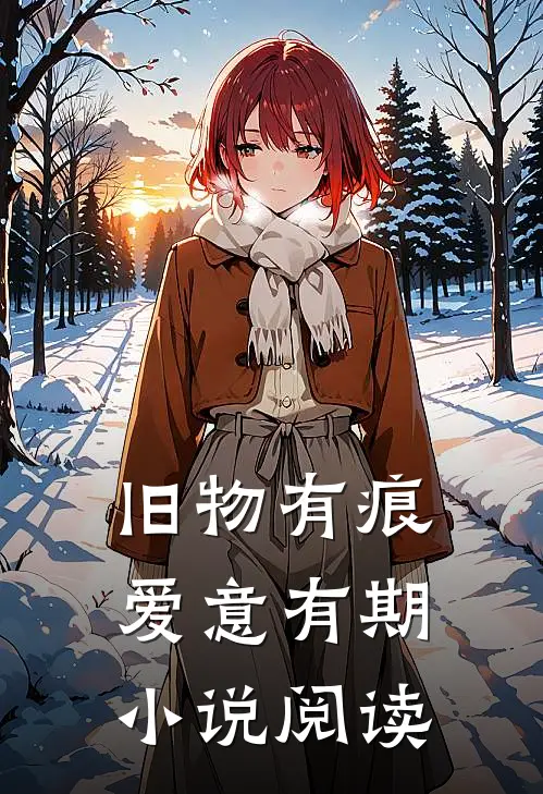 旧物有痕，爱意有期小说阅读