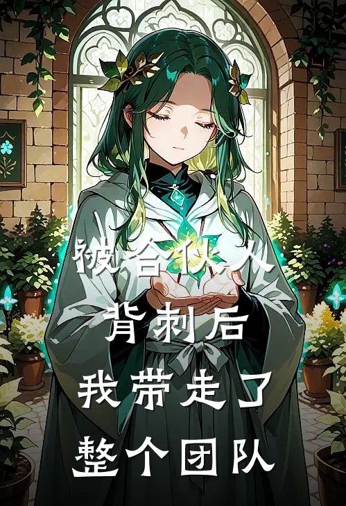 被合伙人背刺后，我带走了整个团队