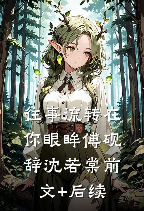 往事流转在你眼眸傅砚辞沈若棠前文+后续