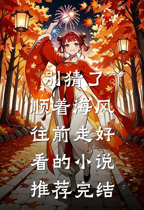别猜了，顺着海风往前走好看的小说推荐完结