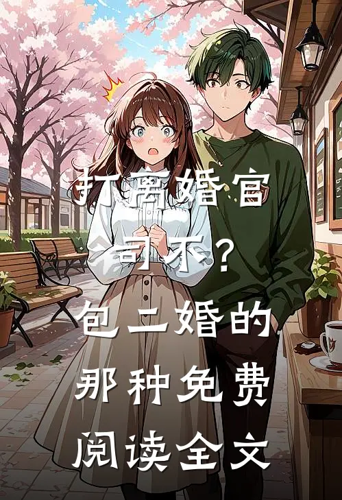 打离婚官司不？包二婚的那种免费阅读全文
