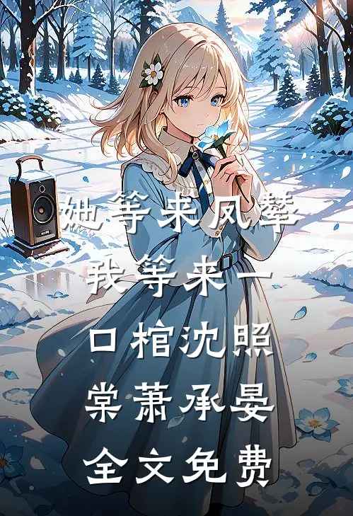 她等来凤辇，我等来一口棺沈照棠萧承晏全文免费