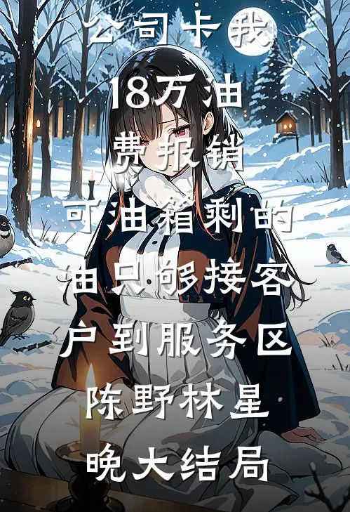 公司卡我18万油费报销，可油箱剩的油只够接客户到服务区陈野林星晚大结局