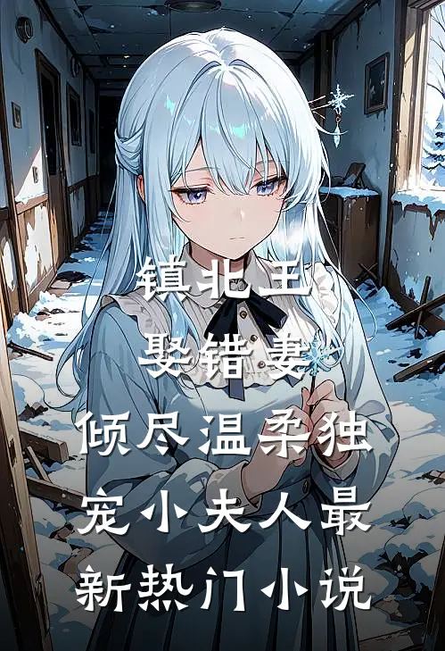 镇北王娶错妻，倾尽温柔独宠小夫人最新热门小说