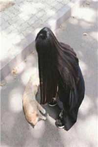 室友冒充我网恋当海王，我去面基开鱼塘前言+后续