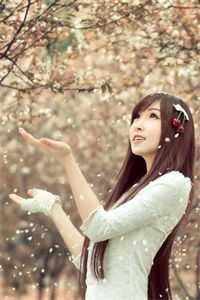 黎雨未至葬落日全集