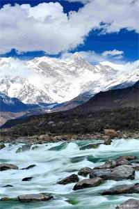 你给的砒霜，我当余生尝高质量好文