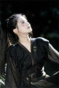 赠你朝暮时已迟精彩