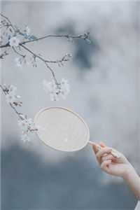 你的心声带我找到彼岸完整版