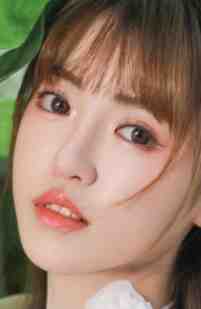 小院春秋：我的媳妇不太聪明全文章节