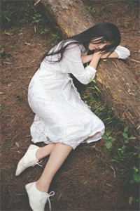 梨花暮雪断旧颜全本