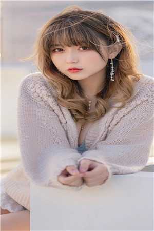 情深朝朝如许全文免费阅读