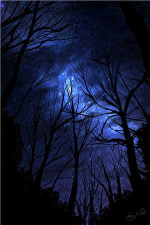 黎雨未至葬落日完整文集阅读