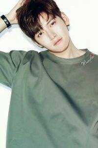 妻子引进留学生整顿公司后，我杀疯了在线