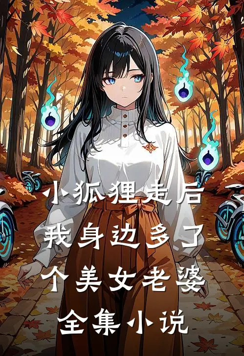 小狐狸走后,我身边多了个美女老婆全集免费阅读