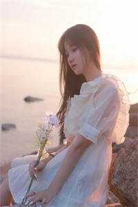 烽烟万里客未归热门小说