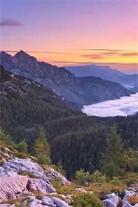 不知爱覆水难收无删减+无广告