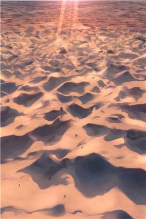 重生后，我抢了女主的养娃剧本免费阅读全文