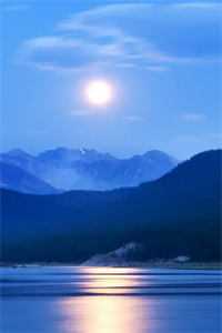 若续此生慰思量全文