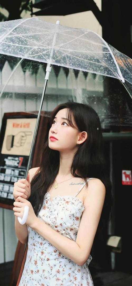 外交翻译官：我的征途是山河无恙精品选集