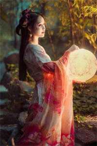 岁暮星沉爱已迟前言+后续