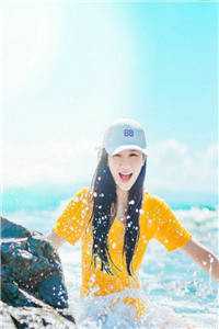 心动傅苏完整文集阅读