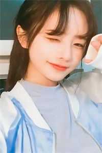 风止于拂晓前完整