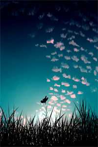 别后相逢，梦魂与君同完结版