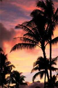 夺回继承权后，前任对她虎视眈眈小说结局