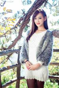 长风不渡意难平质量好文