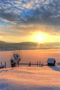 重回新年，我开直播暴打婆婆前文+